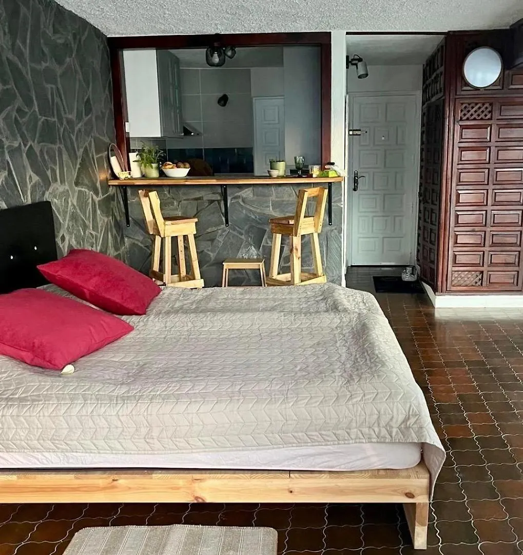 Appartamento Sea Lover'S Nest Los Realejos